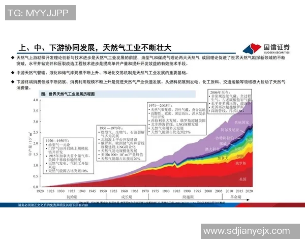 专业分析：液化天然气行业的防守策略与市场应对措施